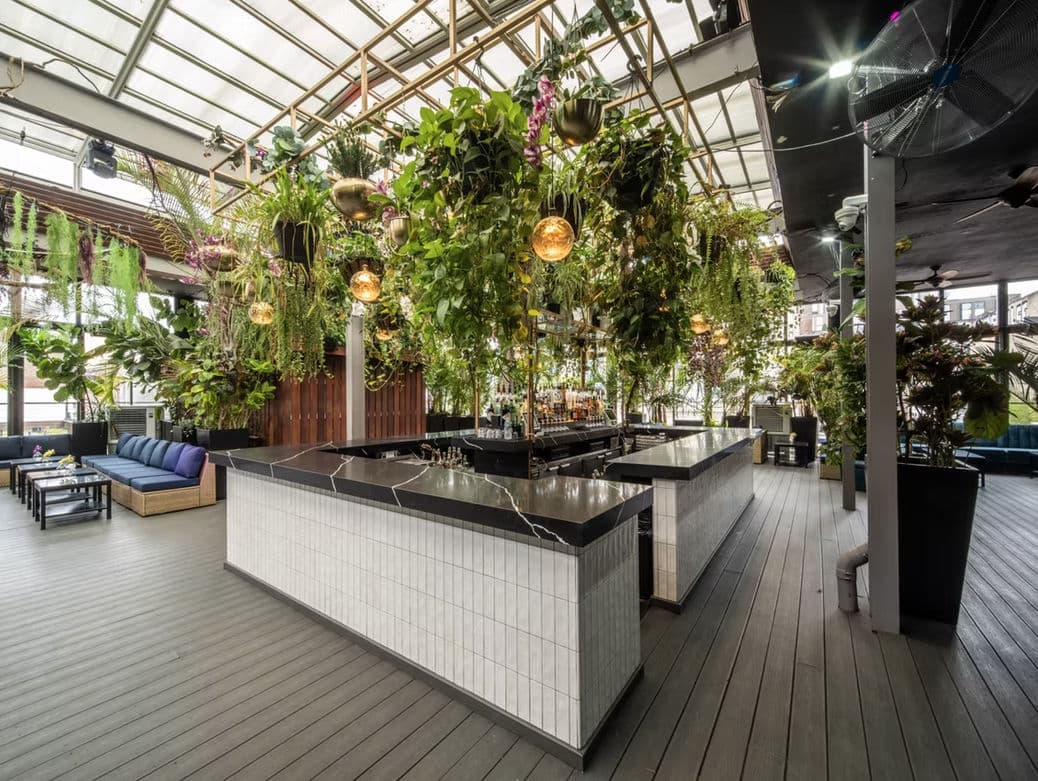 The DL Lounge & Rooftop