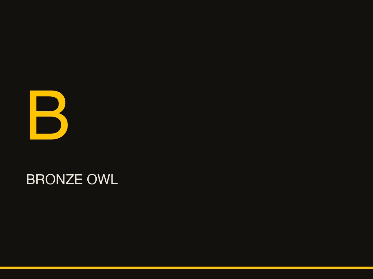 Bronze Owl
